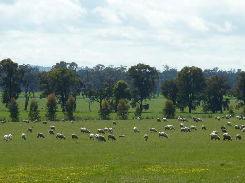 1994 Dookie Violet Town Road, Koonda VIC 3669