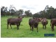 75 Fogarty Road, Tynong North VIC 3813