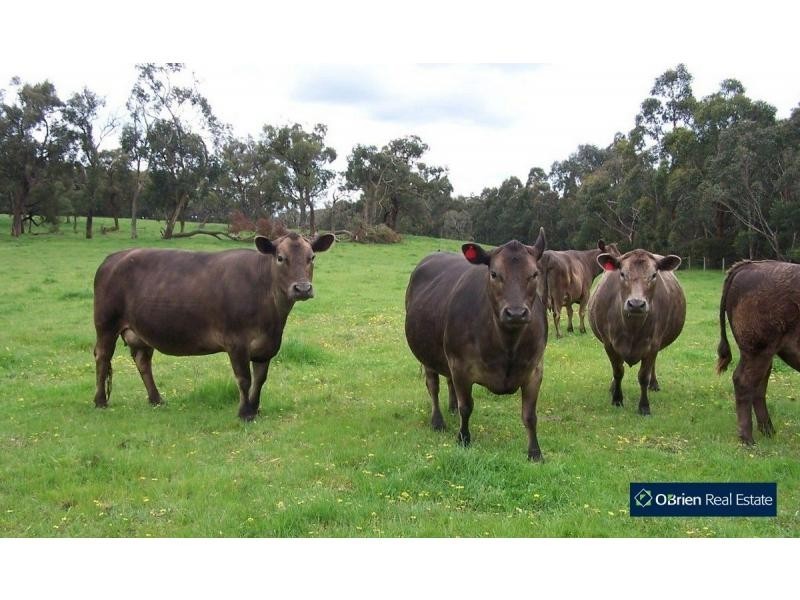 75 Fogarty Road, Tynong North VIC 3813
