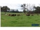 75 Fogarty Road, Tynong North VIC 3813