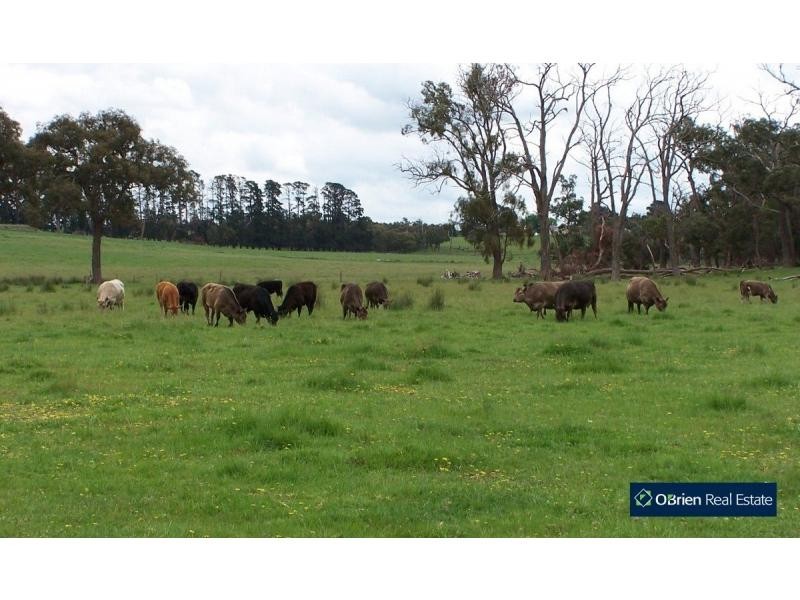 75 Fogarty Road, Tynong North VIC 3813