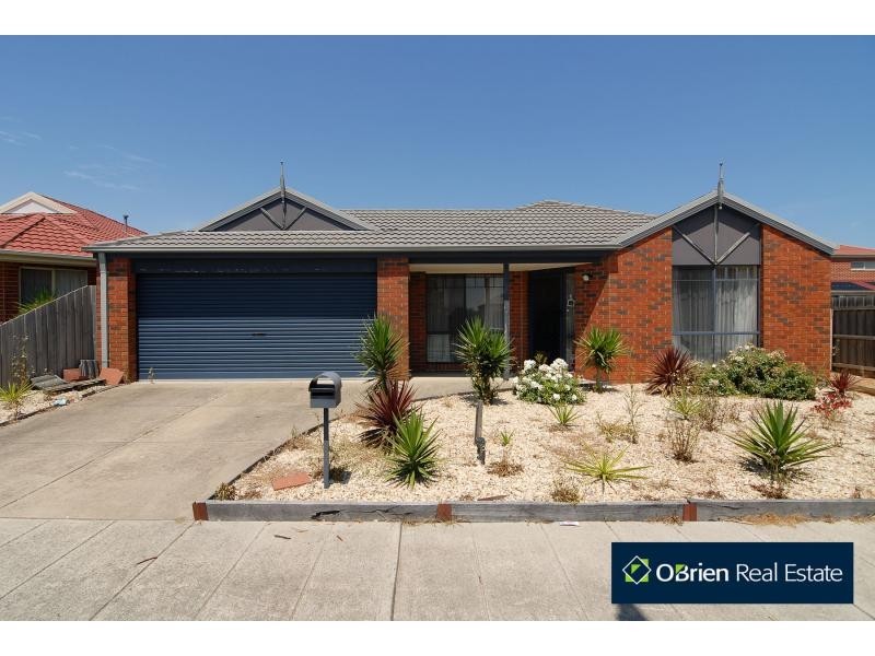 3 Cilento Crescent, Lynbrook VIC 3975