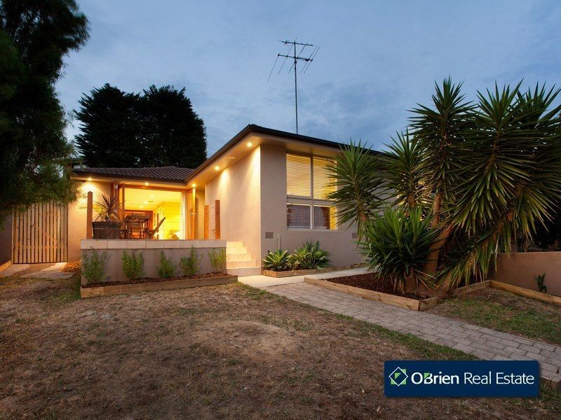 6 John Edgcumbe Way, Endeavour Hills VIC 3802