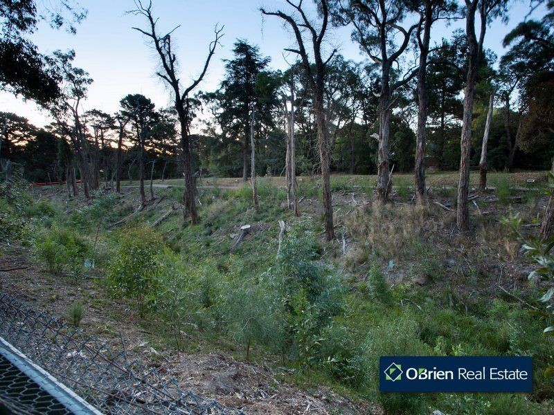 17 Olive Avenue, Harkaway VIC 3806