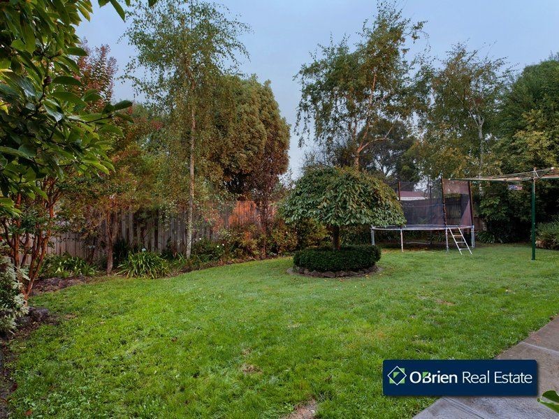 16 Neill Street, Berwick VIC 3806