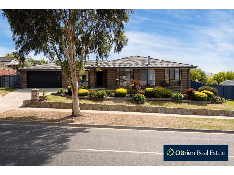 77 Shinners Avenue, Narre Warren VIC 3805