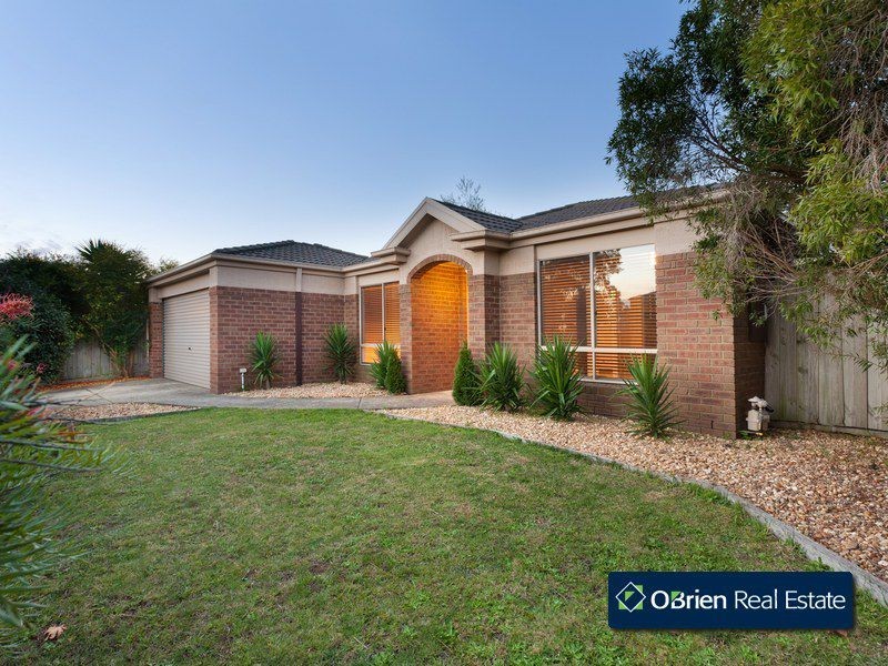 16 Colwyn Drive, Narre Warren South VIC 3805
