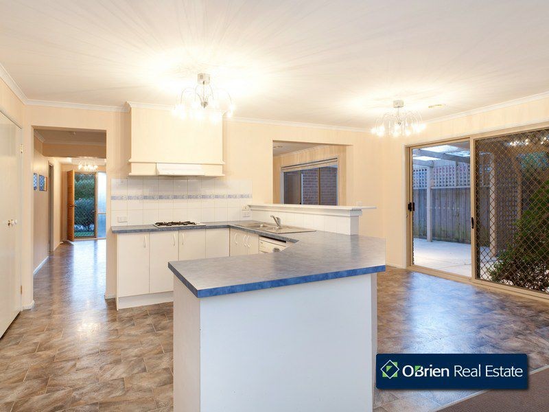 16 Colwyn Drive, Narre Warren South VIC 3805