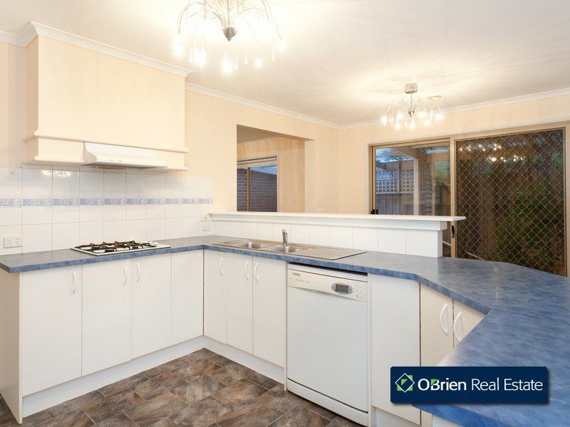 16 Colwyn Drive, Narre Warren South VIC 3805