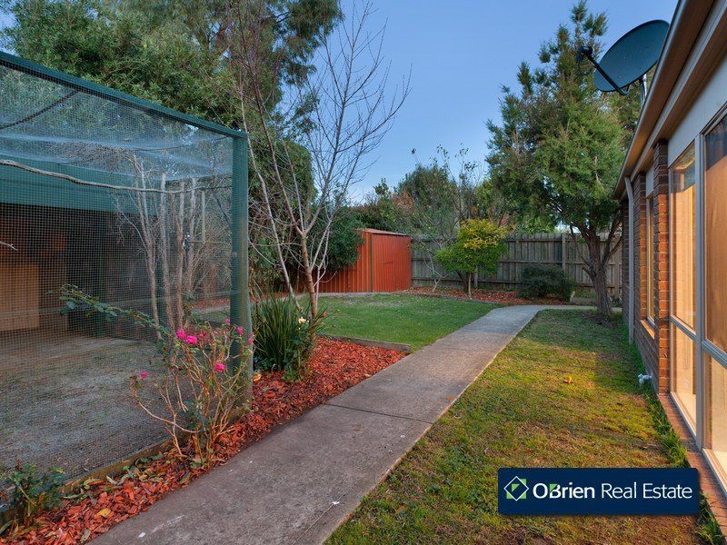 16 Colwyn Drive, Narre Warren South VIC 3805
