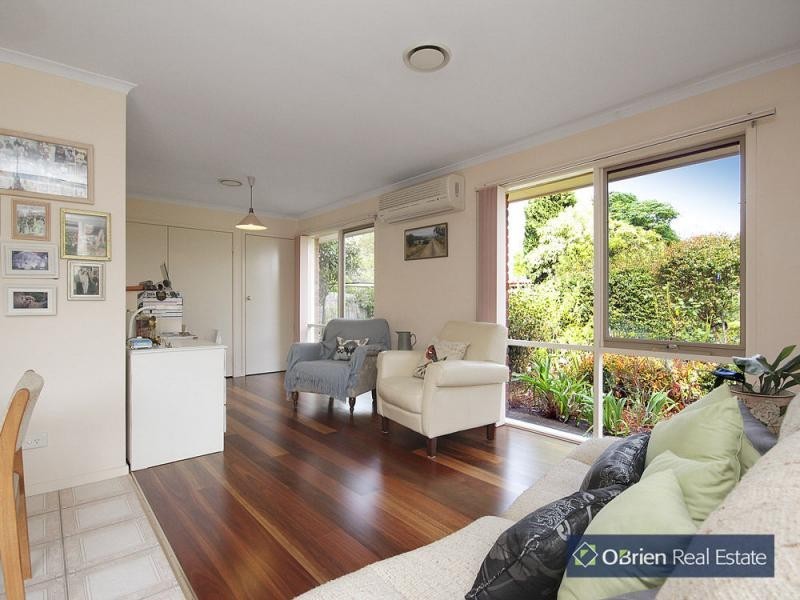 101 Saffron Drive, Narre Warren VIC 3805