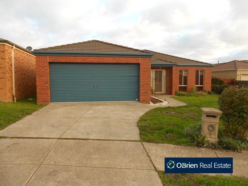 5 Domain Drive, Berwick VIC 3806