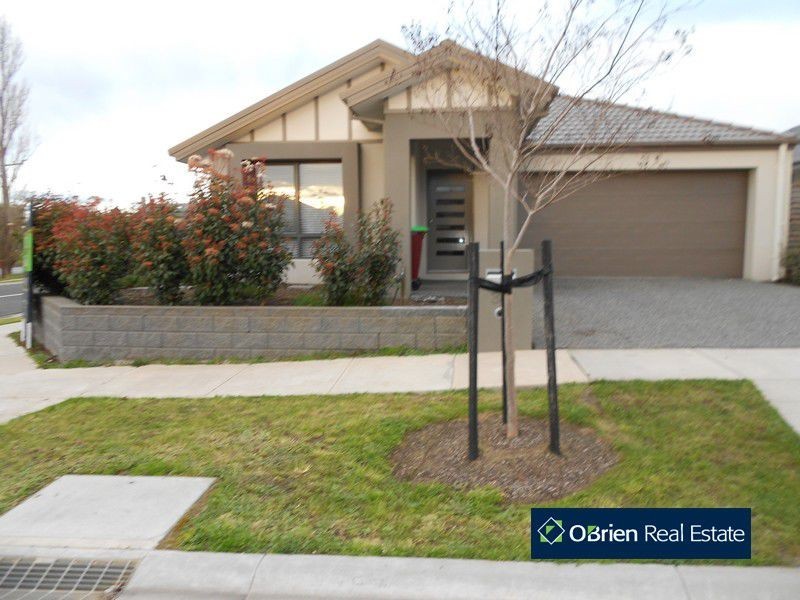 38 Meridian Circuit, Berwick VIC 3806