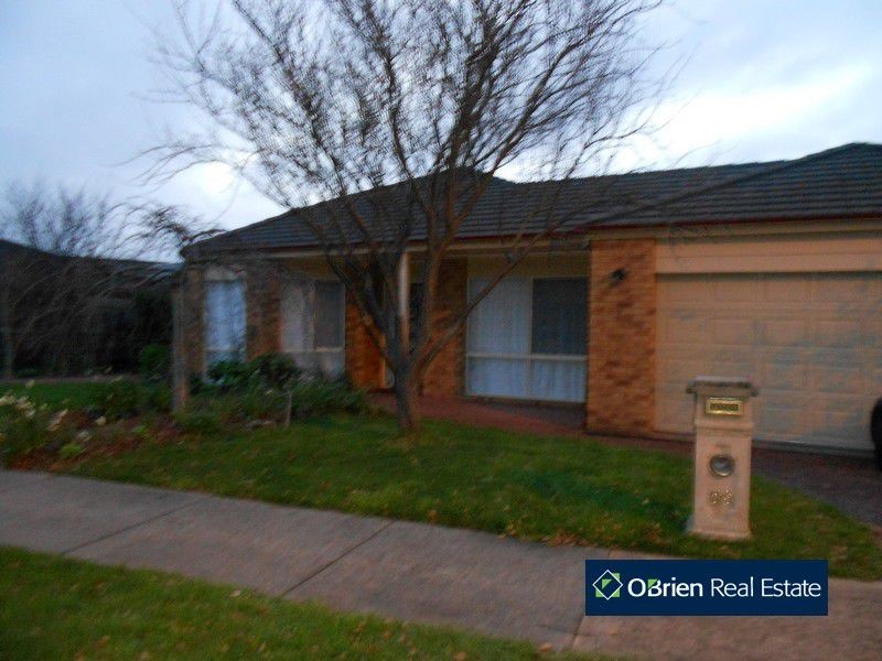 59 Melville Park Drive, Berwick VIC 3806