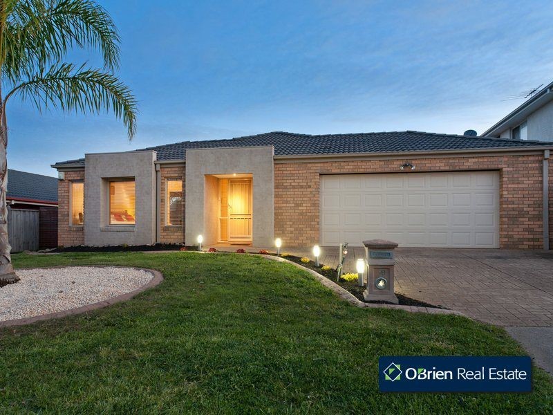 19 Napier Way, Narre Warren South VIC 3805