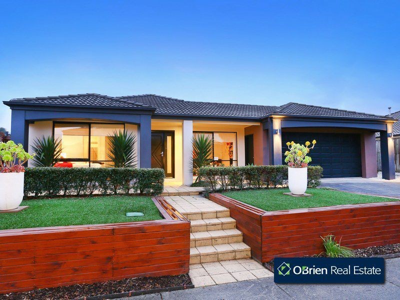 19 Mallard Street, Berwick VIC 3806