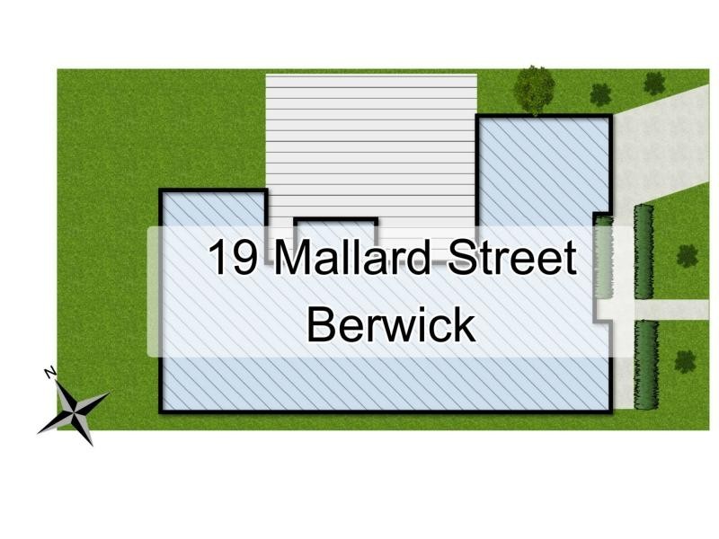 19 Mallard Street, Berwick VIC 3806