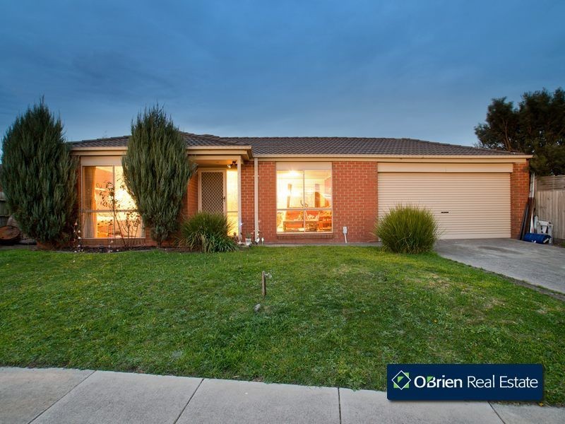 24 Bellevue Drive, Berwick VIC 3806