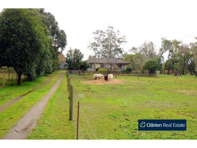 17 Scott Road, Cranbourne South VIC 3977
