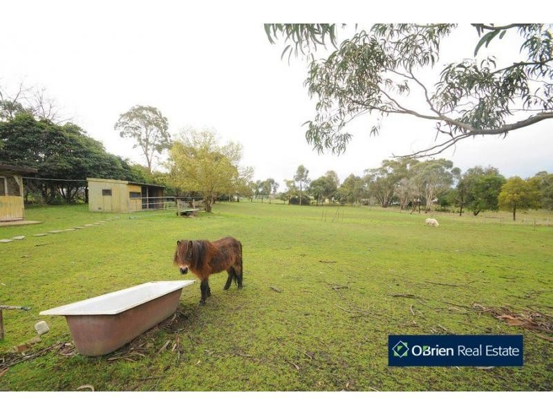 17 Scott Road, Cranbourne South VIC 3977