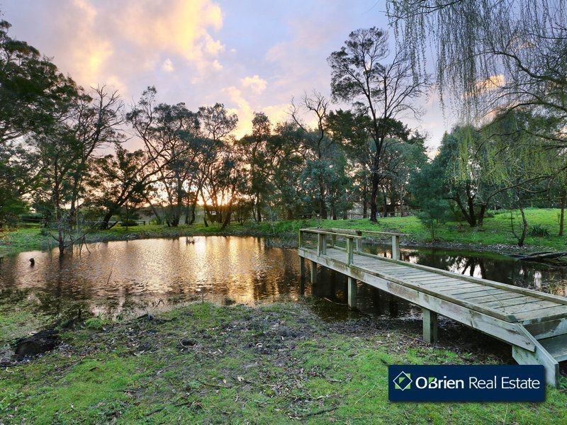 12 Woodlands Road, Cranbourne South VIC 3977