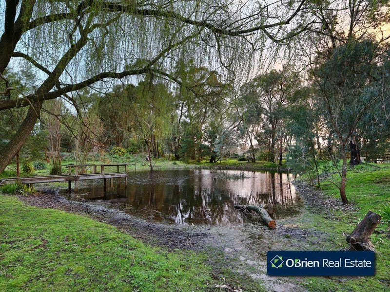 12 Woodlands Road, Cranbourne South VIC 3977