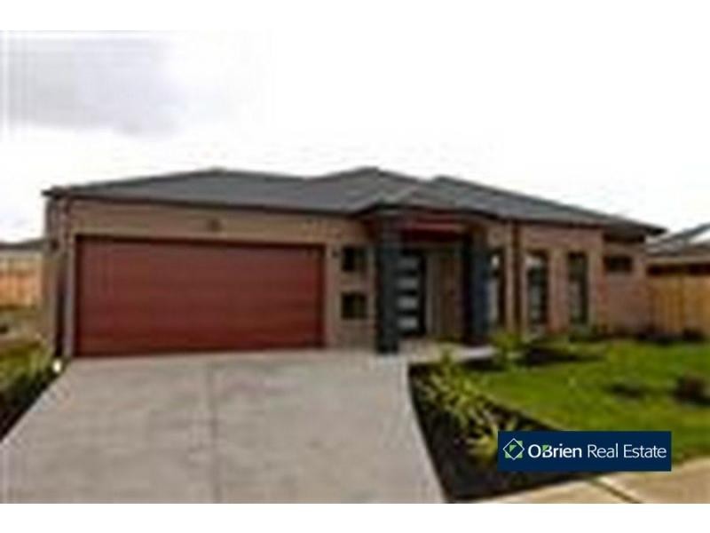 4 Rock Daisy Drive, Cranbourne West VIC 3977