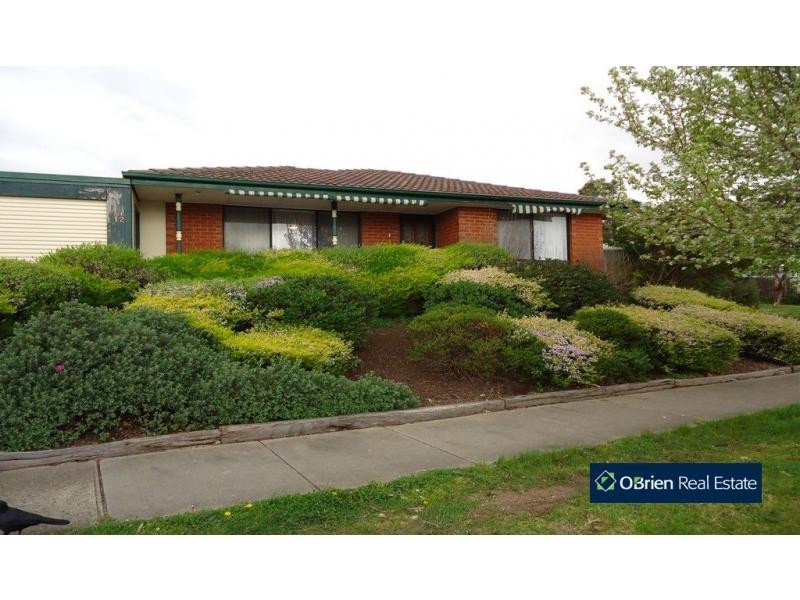 12 Raffindale Crescent, Cranbourne West VIC 3977