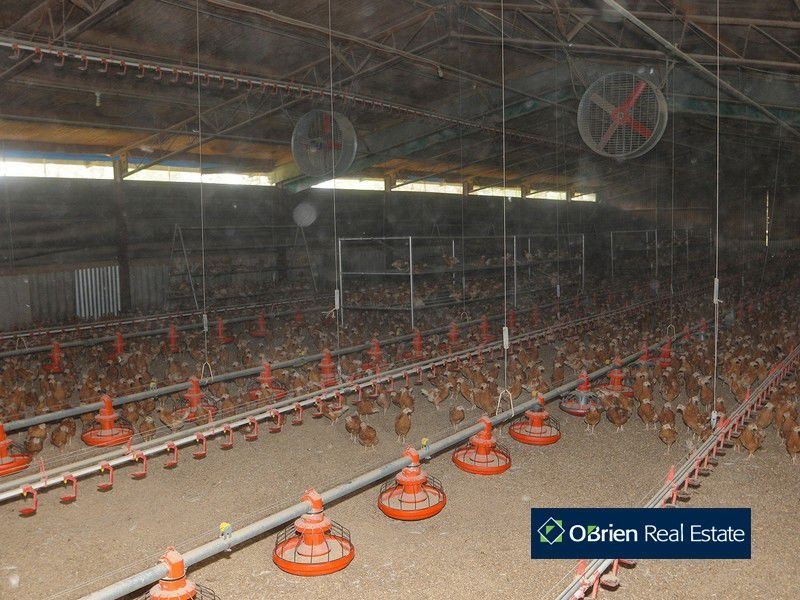 200 Pearcedale Road, Cranbourne South VIC 3977