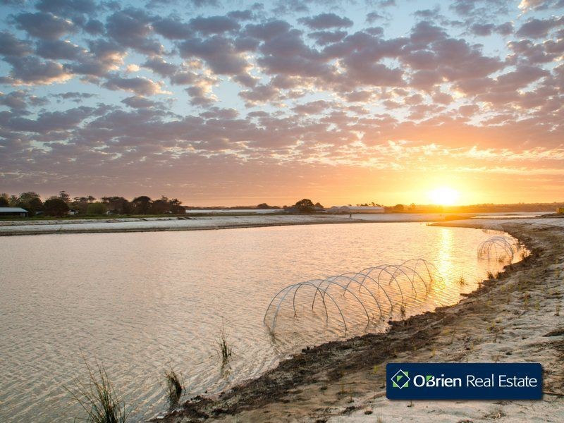 21 Marija Crescent, Berwick VIC 3806