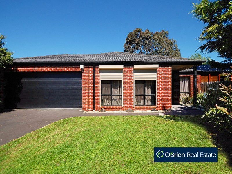 6 Minka Place, Skye VIC 3977