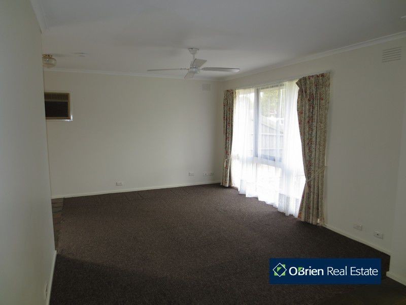 3 Gray Street, Cranbourne North VIC 3977