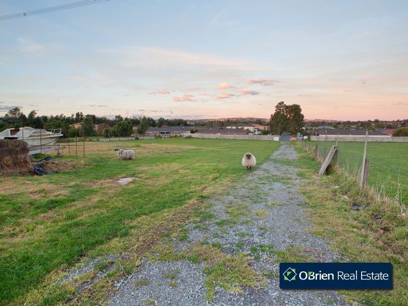 53 George Chudleigh Drive, Hallam VIC 3803