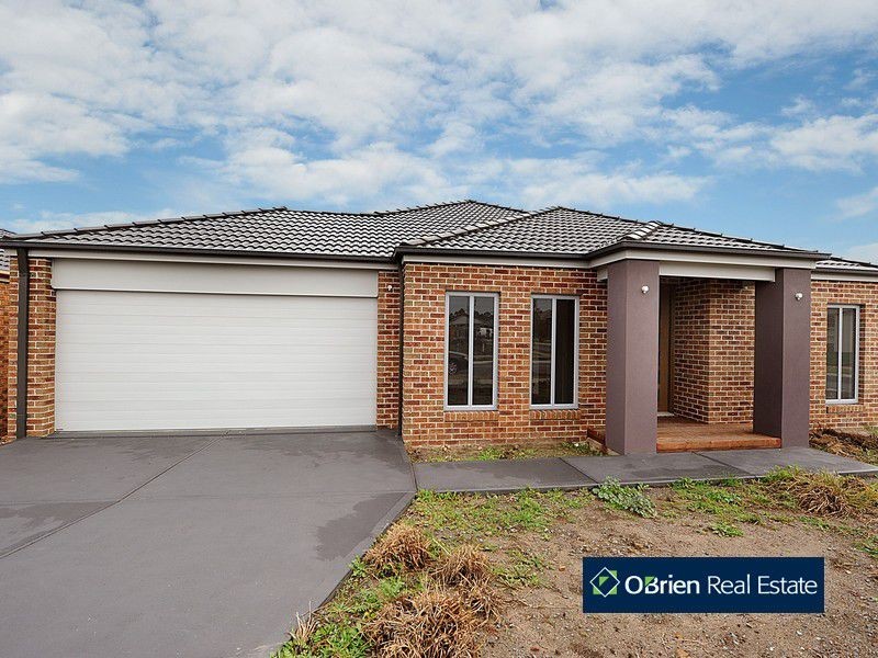 19 Dusky Bells Drive, Cranbourne VIC 3977