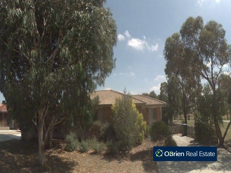 11 Culmara Court, Berwick VIC 3806