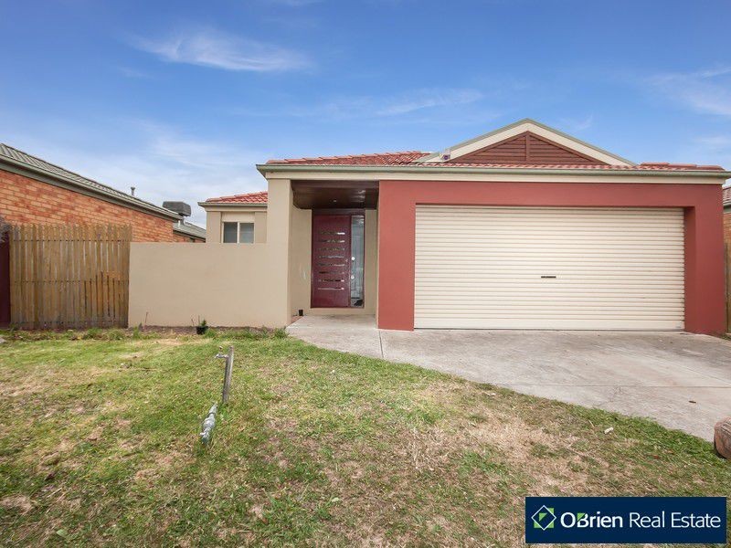 17 Bellbrae Crescent, Cranbourne VIC 3977
