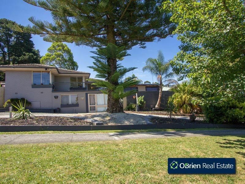12 Queens Court, Berwick VIC 3806