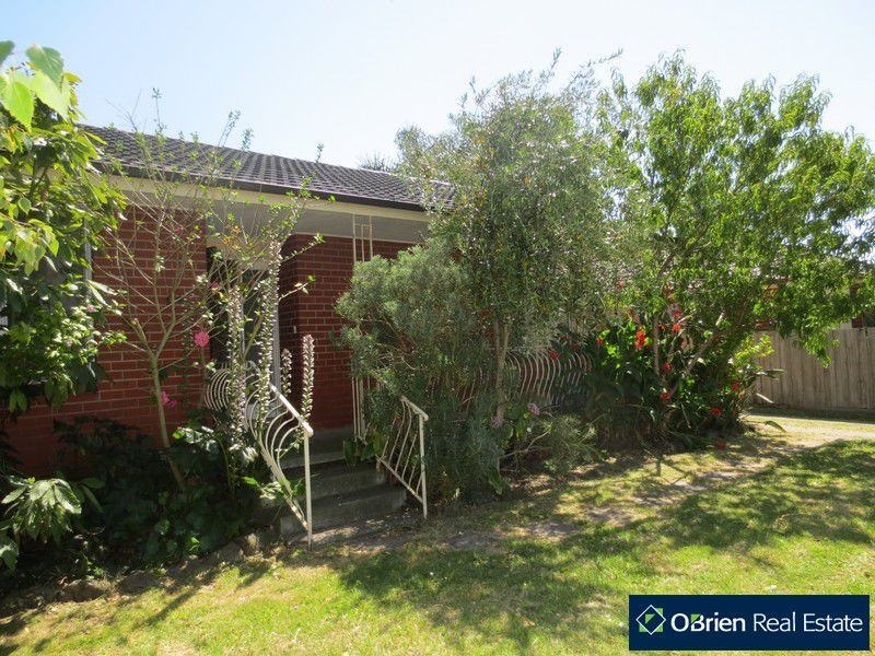 11 Duff Street, Cranbourne VIC 3977