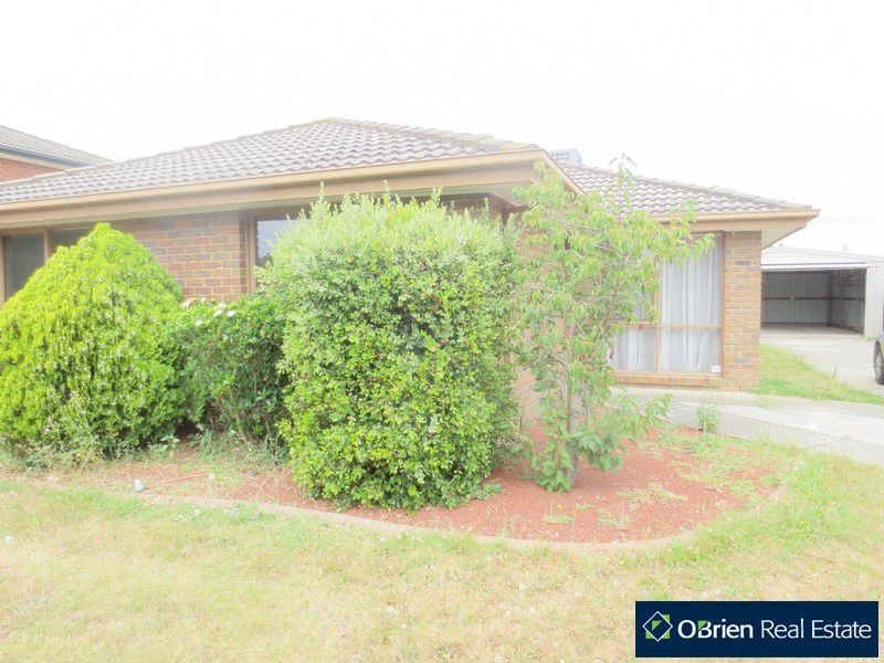 12 Mcquarie Court, Cranbourne North VIC 3977