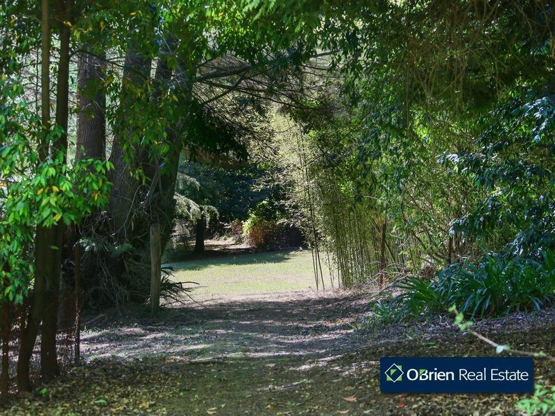 503 O’Neil Road, Beaconsfield VIC 3807