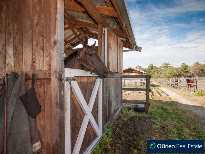 60 Oakhill Drive, Pearcedale VIC 3912