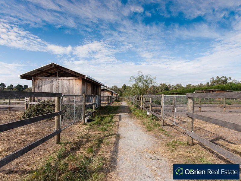 60 Oakhill Drive, Pearcedale VIC 3912