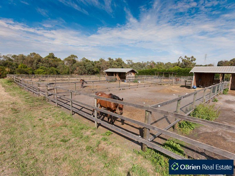 60 Oakhill Drive, Pearcedale VIC 3912