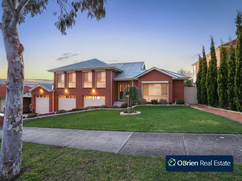15 Wintersun Road, Berwick VIC 3806