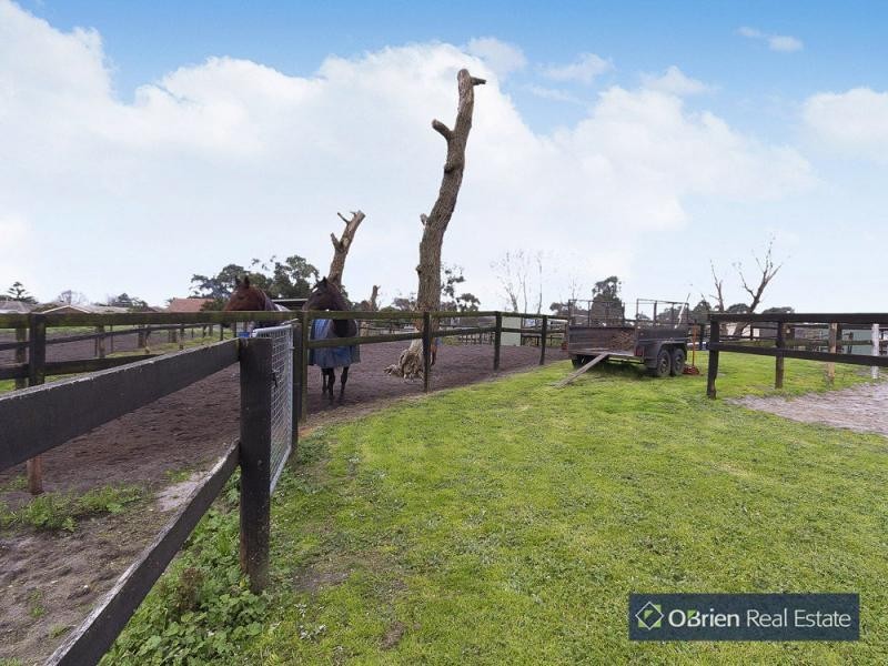 1 Shaw Road, Junction Village VIC 3977