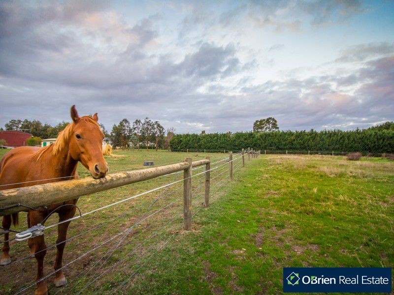 6-8 Madelyn Court, Cranbourne South VIC 3977