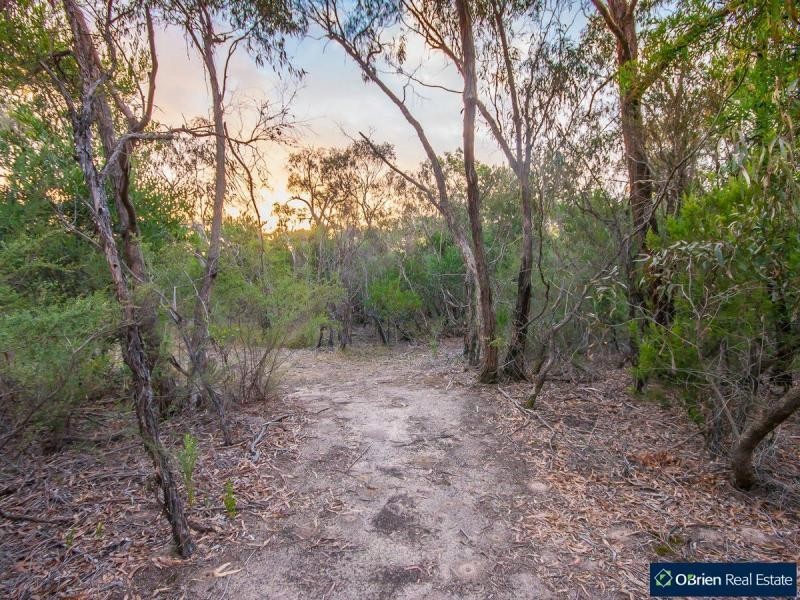 25 Sweet Wattle Drive, Cranbourne South VIC 3977