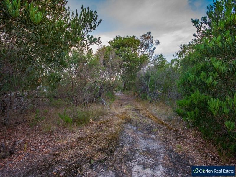 25 Sweet Wattle Drive, Cranbourne South VIC 3977