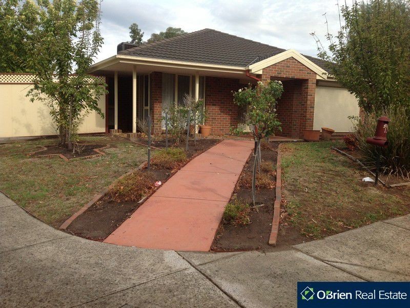 13 Kershaw Drive, Narre Warren South VIC 3805