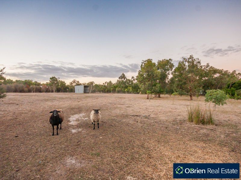 12-14 Sweetwattle Drive, Cranbourne South VIC 3977